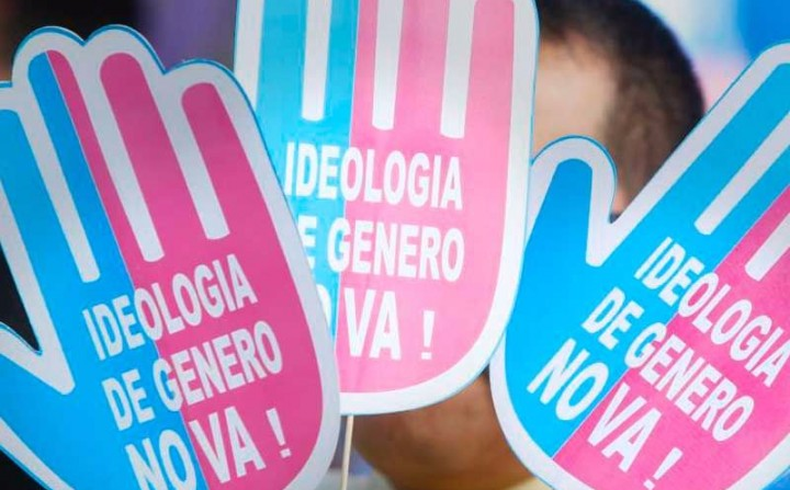 Imagen de carteles que contienen la leyenda "Ideología de Género no va"